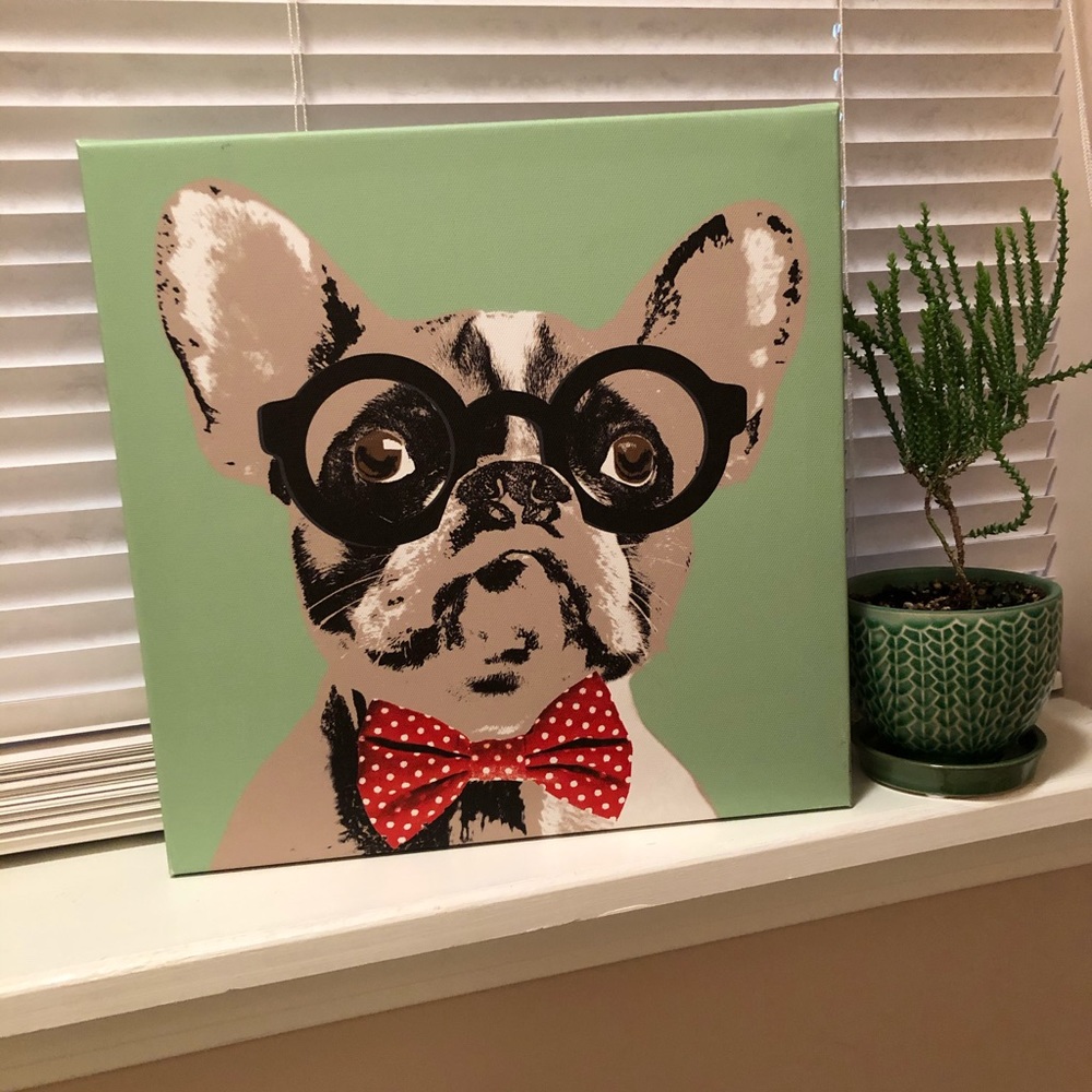 🌟 French Bulldog Canvas Print by Doug Hernandez